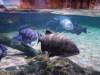 146 - 20231021 Bangkok Sea Life SONY