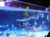 150 - 20231021 Bangkok Sea Life SONY