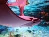 152 - 20231021 Bangkok Sea Life SONY