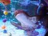155 - 20231021 Bangkok Sea Life SONY