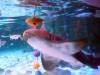 156 - 20231021 Bangkok Sea Life SONY