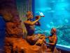 168 - 20231021 Bangkok Sea Life SONY