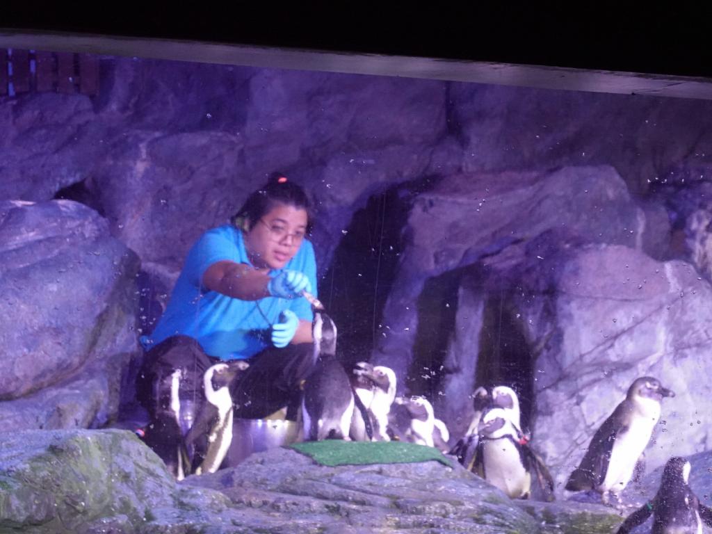 149 - 20231021 Bangkok Sea Life SONY