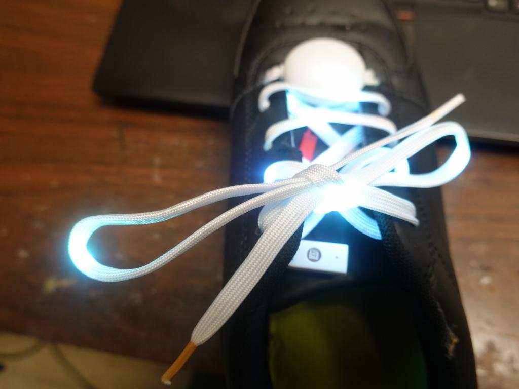 402 - 2021 LED Shoes Laces