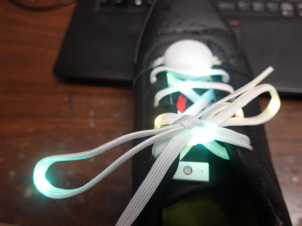 403 - 2021 LED Shoes Laces