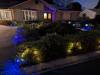 204 - Solar Lights Garden