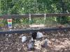 184 - California Country Ranch Silkie Chicken SONY