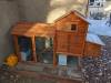 214 - California Country Ranch Silkie Chicken Google