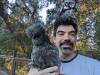 229 - California Country Ranch Silkie Chicken Google