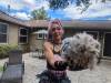 236 - California Country Ranch Silkie Chicken Google