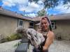 238 - California Country Ranch Silkie Chicken Google