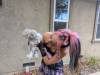 249 - California Country Ranch Silkie Chicken Google