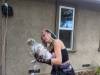 250 - California Country Ranch Silkie Chicken Google