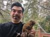 267 - California Country Ranch Silkie Chicken Google