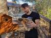 308 - California Country Ranch Silkie Chicken Google