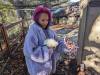 314 - California Country Ranch Silkie Chicken Google