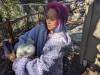 315 - California Country Ranch Silkie Chicken Google