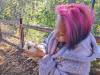 316 - California Country Ranch Silkie Chicken Google