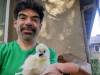 335 - California Country Ranch Silkie Chicken Google