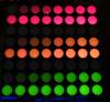 206 - Bicolor Matrix PWM
