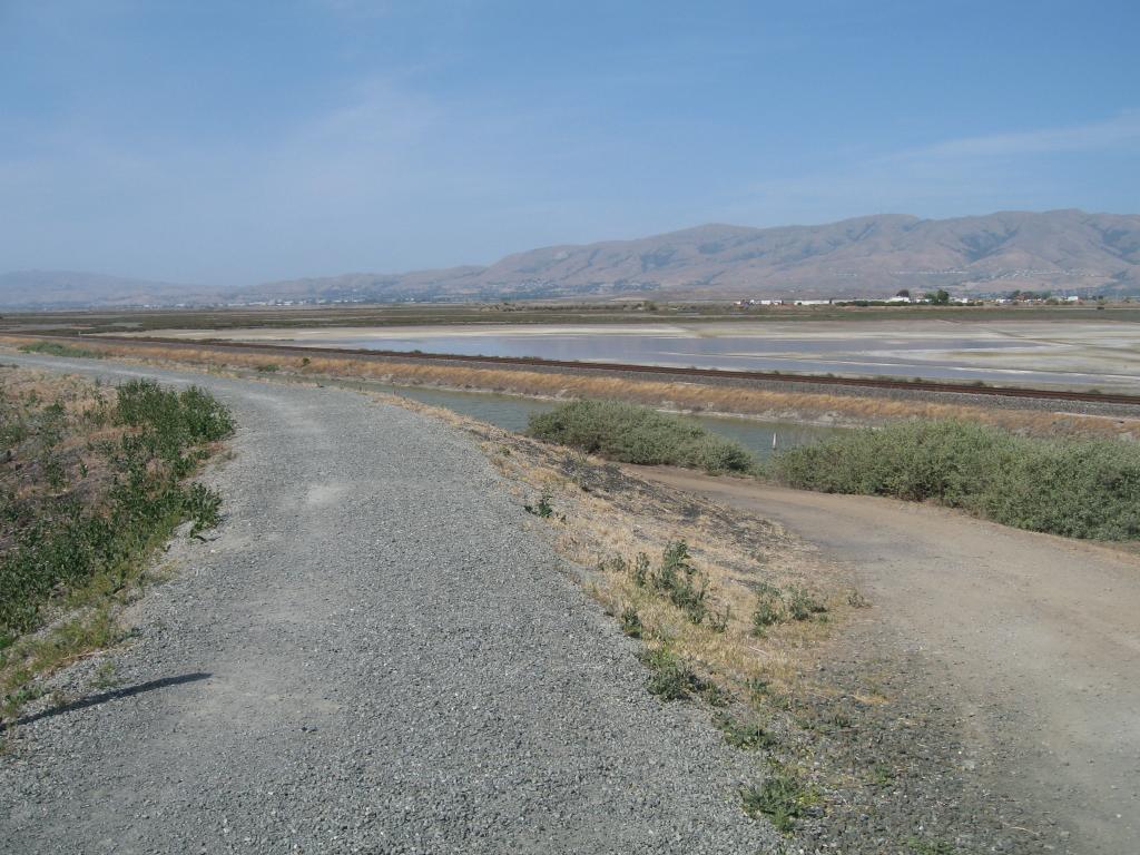 107 - Alviso