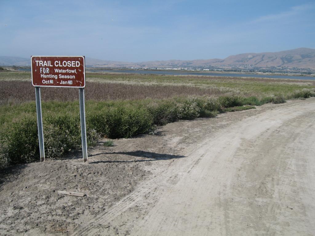 118 - Alviso