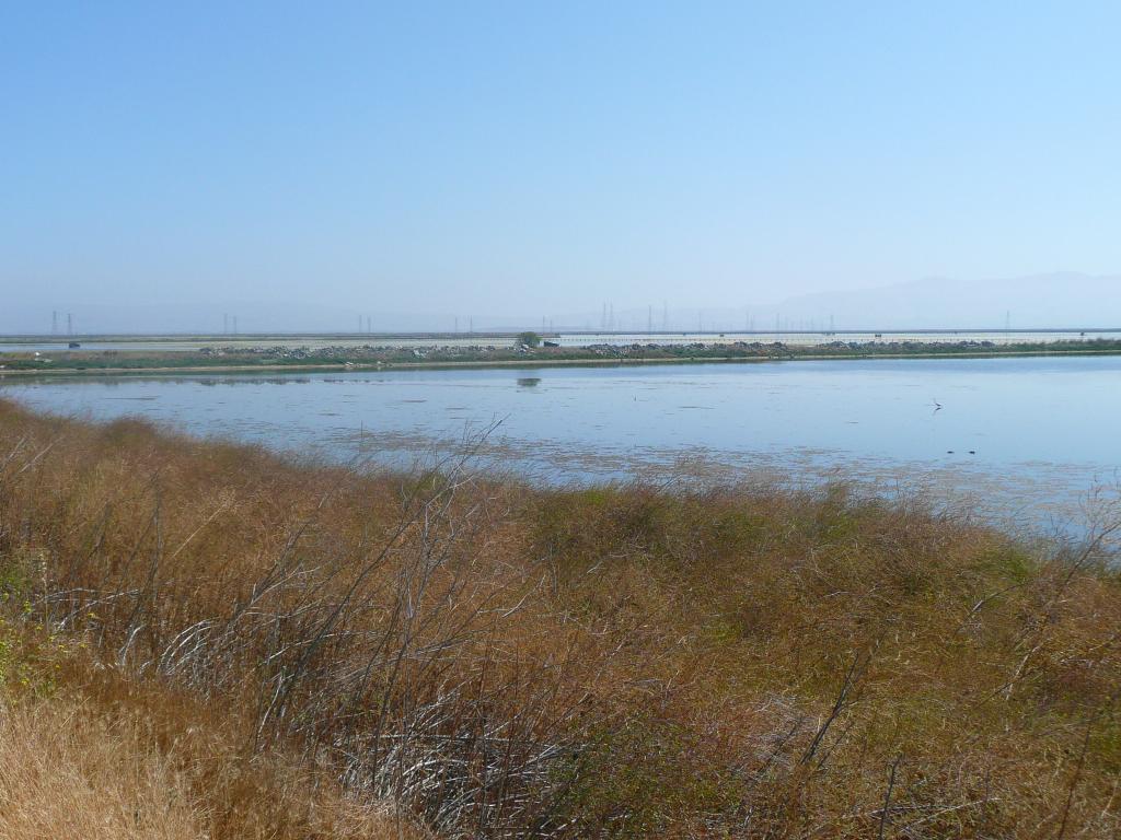 101 - Baylands