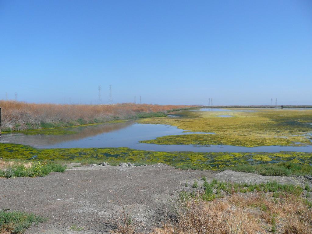 102 - Baylands