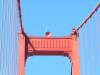 127 - SF Golden Gate Saulsalito