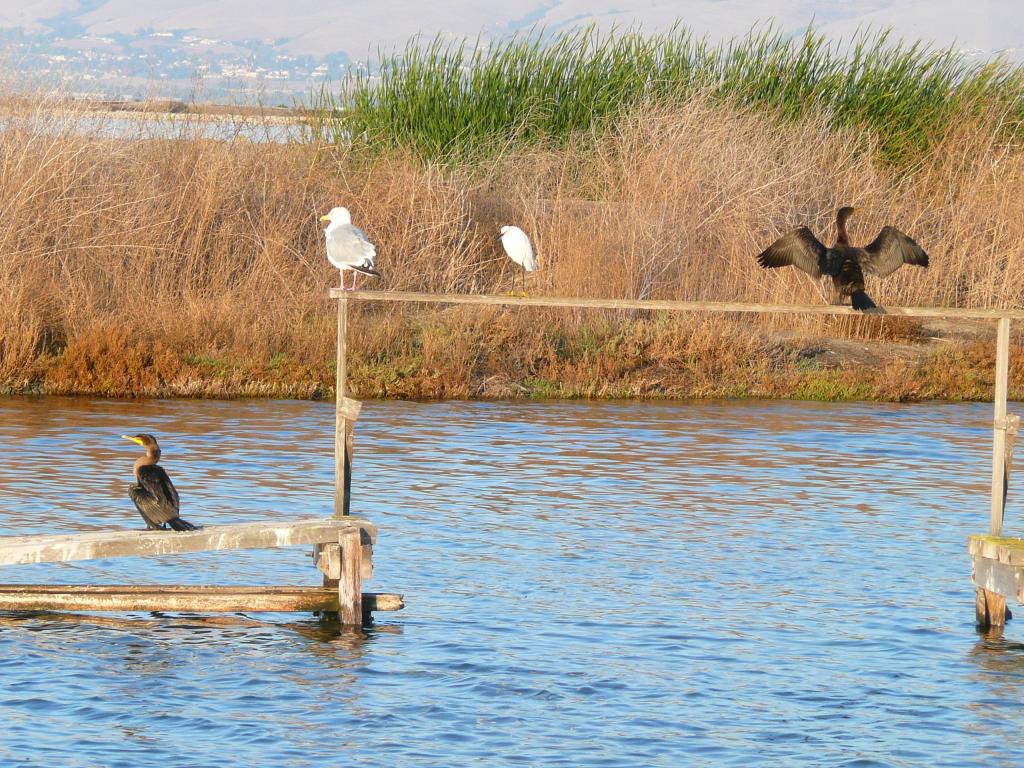 106 - 20071014 Baylands Lockheed Moffett