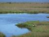 110 - 20100418 Baylands KPAO