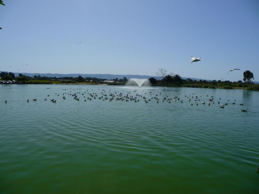 116 - 20100418 Baylands KPAO