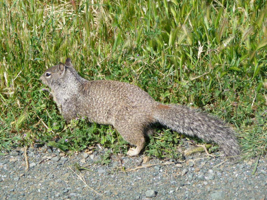 119 - 20100418 Baylands KPAO