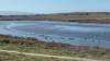 100 - 20200208 Baylands to 92 Bridge