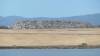 127 - 20200522 Alviso Don Edwards Loop