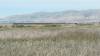 166 - 20200522 Alviso Don Edwards Loop