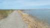 171 - 20200522 Alviso Don Edwards Loop