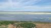 185 - 20200522 Alviso Don Edwards Loop