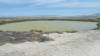 191 - 20200522 Alviso Don Edwards Loop
