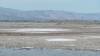 194 - 20200522 Alviso Don Edwards Loop