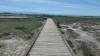226 - 20200522 Alviso Don Edwards Loop