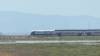 235 - 20200522 Alviso Don Edwards Loop