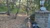 172 - 20201014 Los Altos Hills