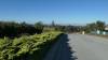 178 - 20201014 Los Altos Hills