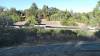 180 - 20201014 Los Altos Hills