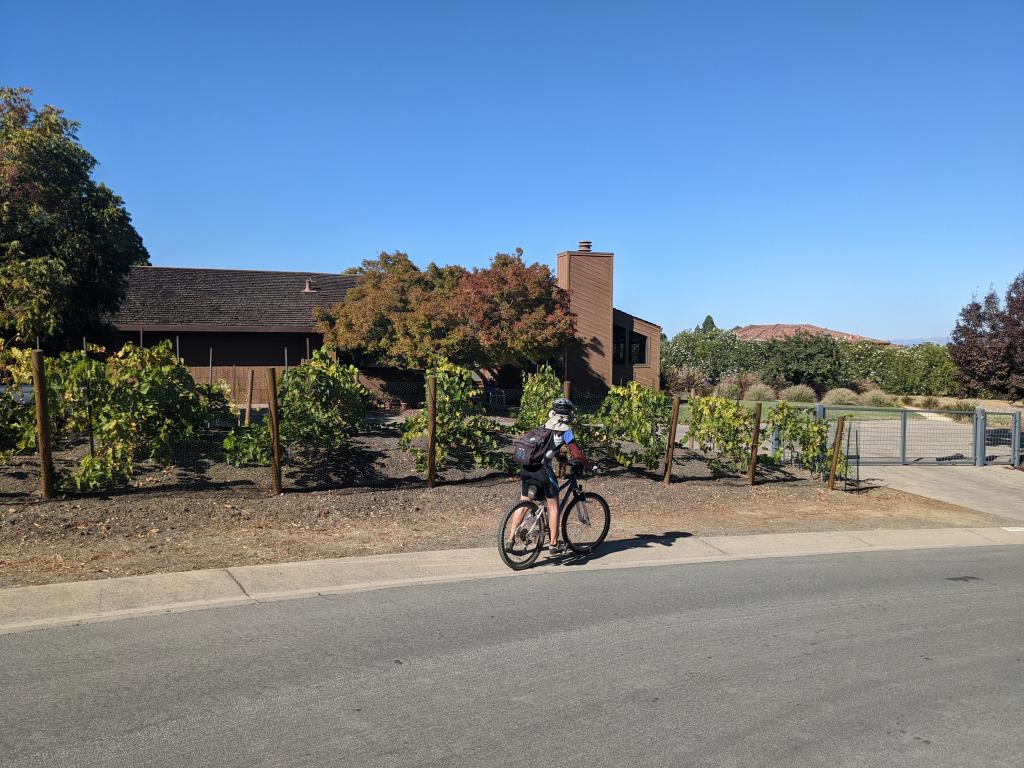166 - 20201014 Los Altos Hills