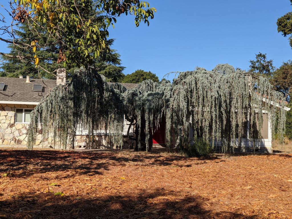 171 - 20201014 Los Altos Hills