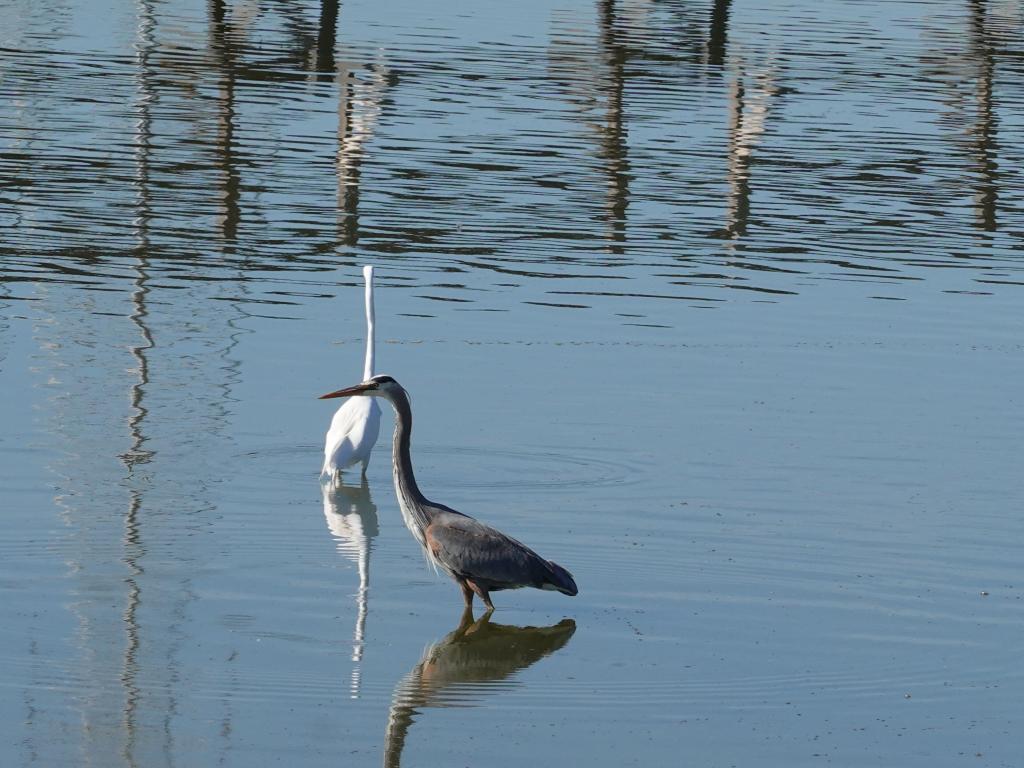 107 - 20220206 Baylands to PAO