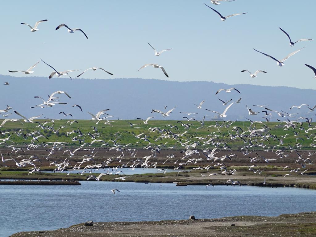 116 - 20220206 Baylands to PAO