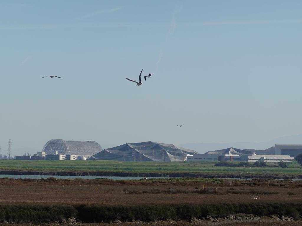 119 - 20220206 Baylands to PAO